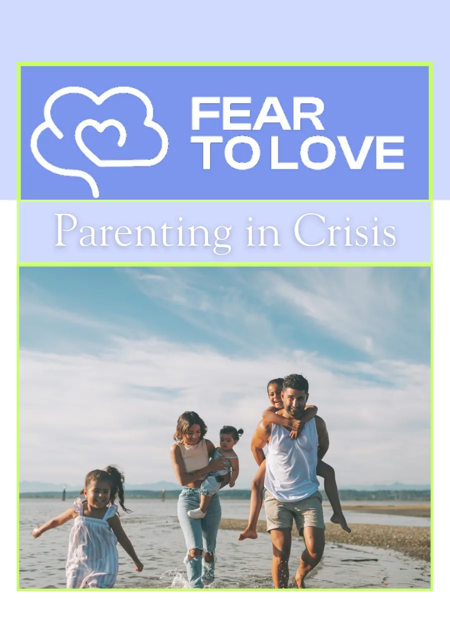 Cover of Parenting in Crisis